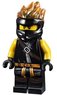 Lego Ninjago Cole FS